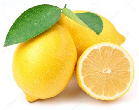 lemon stock image|pictures of lemons to print.